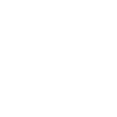 Eine weiße Grafik die ein "P" zeigt, aus welchem die Linien der Drähte eines Grafikchips ranken.